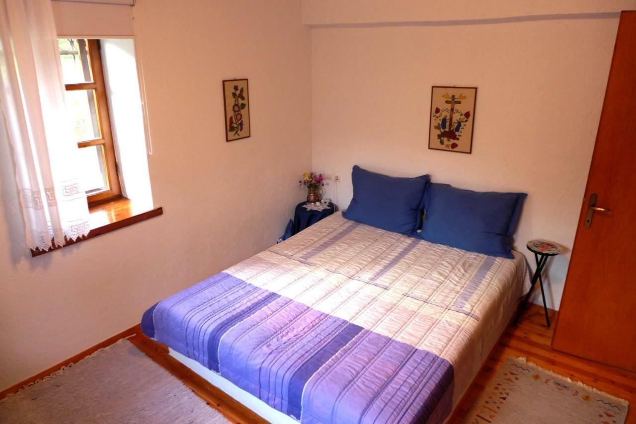 Villa Πέτρινο Παραδοσιακό Σπίτι "Χιονάτη" Nimfaíon Esterno foto